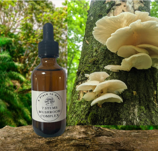 7 Stems Mushroom Complex 2oz